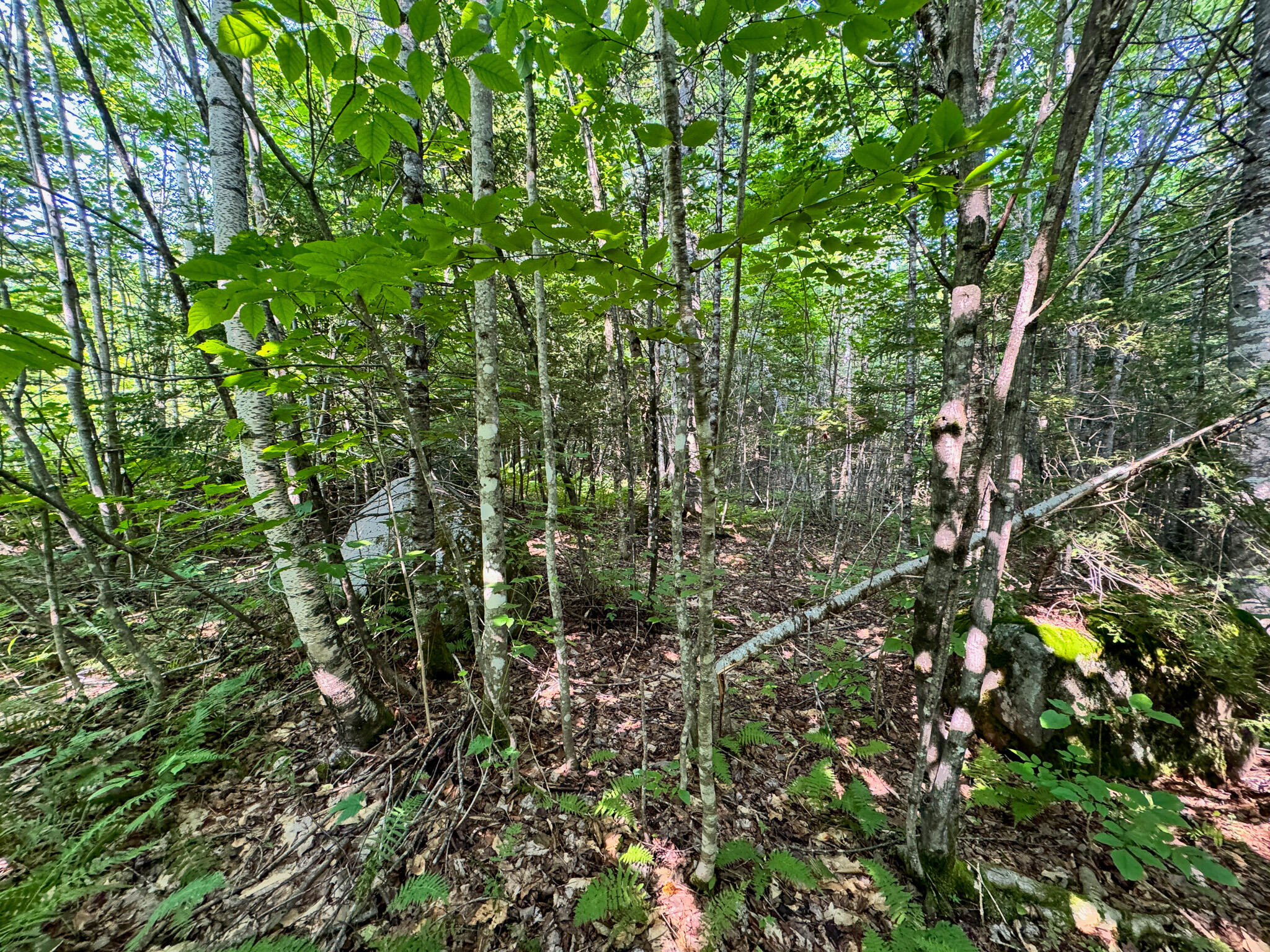 286 Abbee Pond Road Brownville ME 04414