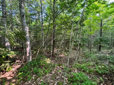 286 Abbee Pond Road Brownville ME 04414
