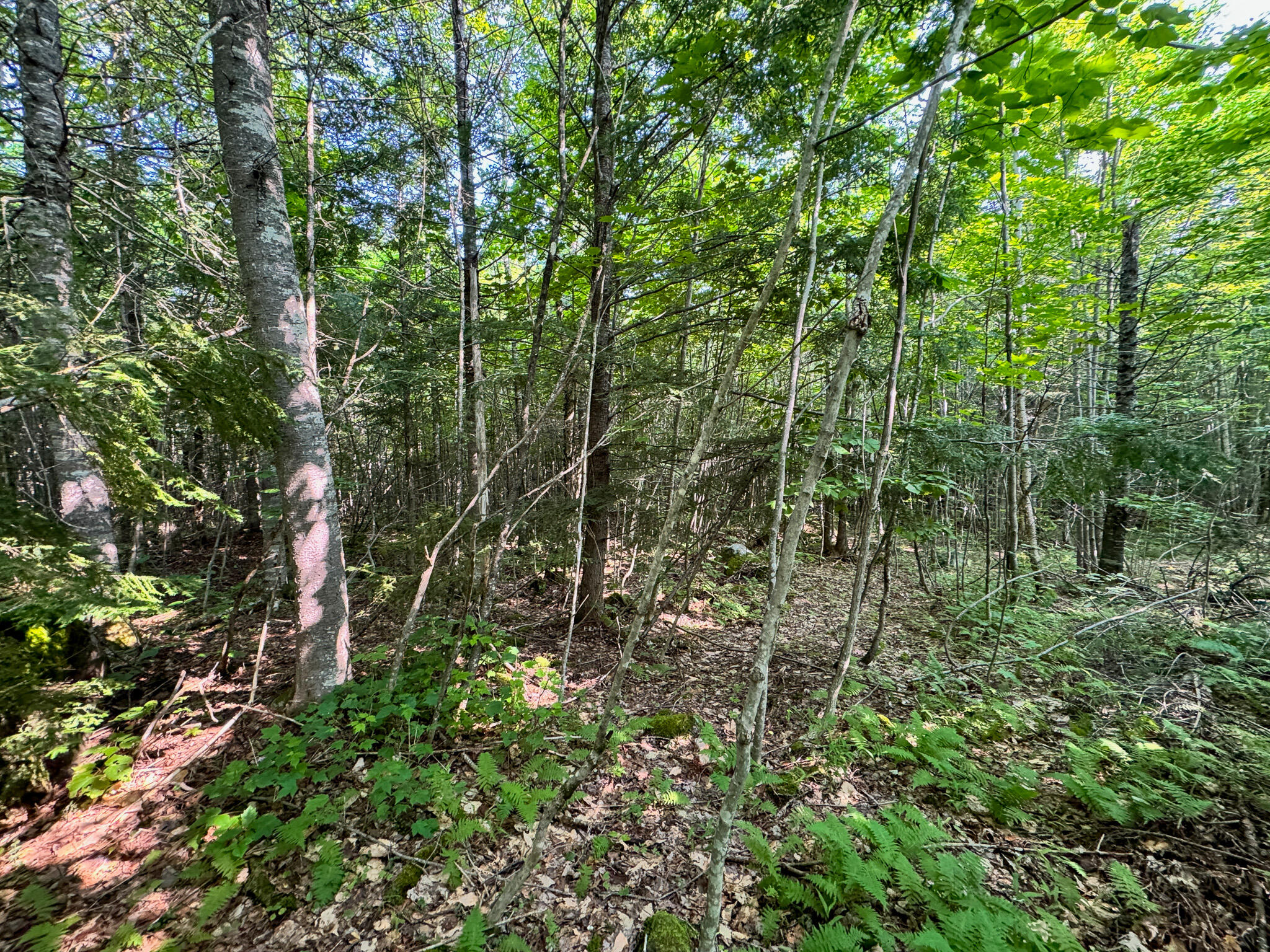 286 Abbee Pond Road Brownville ME 04414