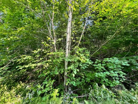 286 Abbee Pond Road Brownville ME 04414