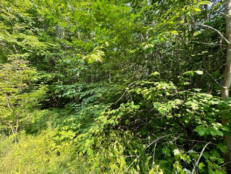 286 Abbee Pond Road Brownville ME 04414