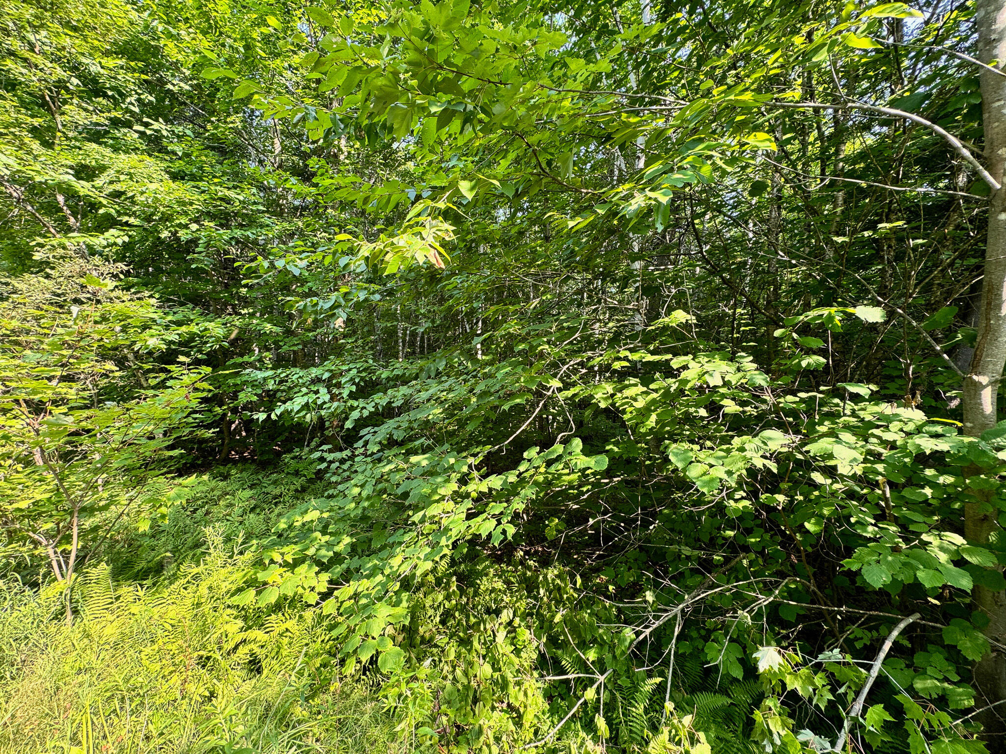 286 Abbee Pond Road Brownville ME 04414