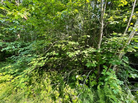 286 Abbee Pond Road Brownville ME 04414