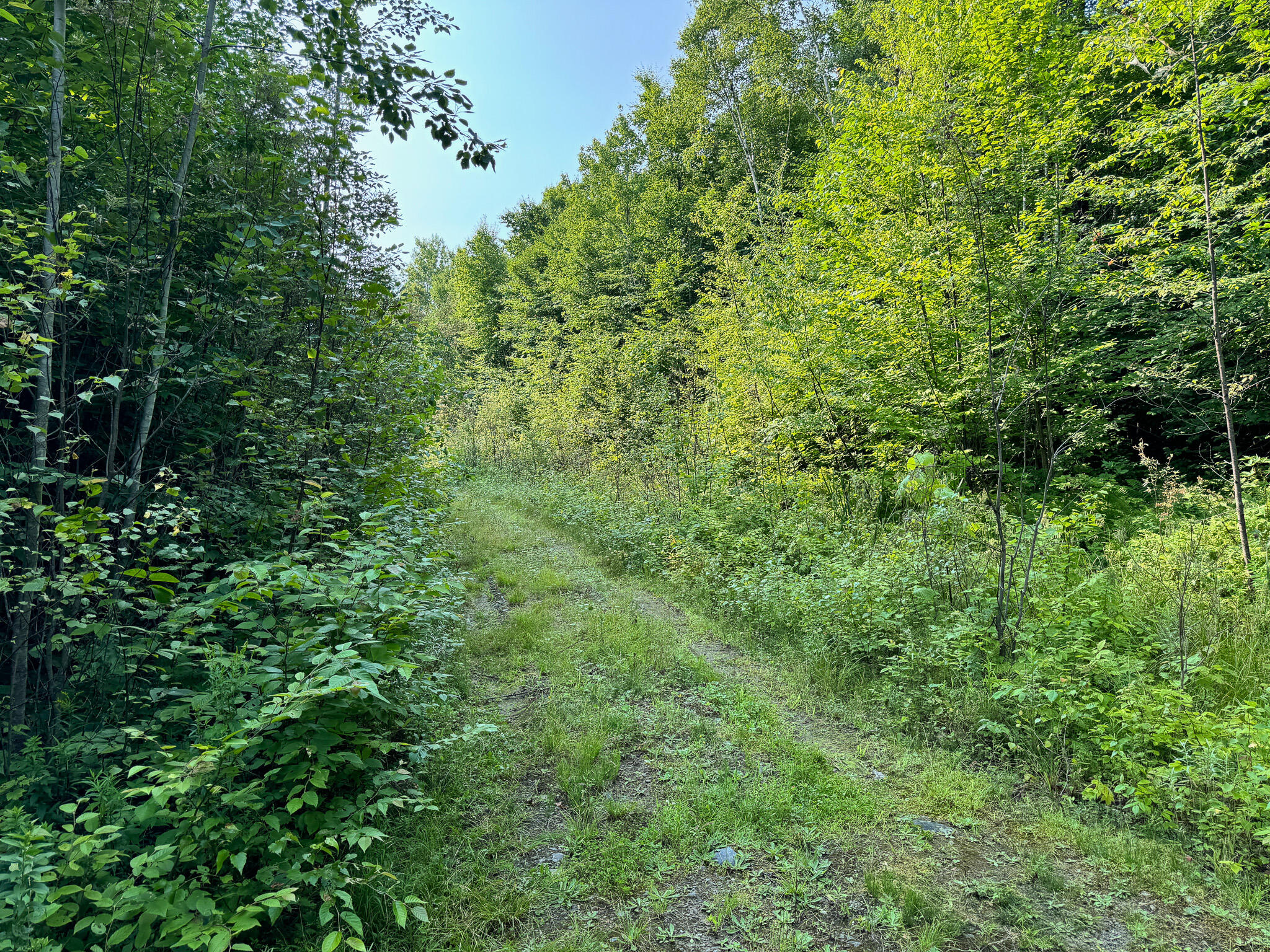 286 Abbee Pond Road Brownville ME 04414