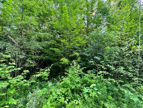 286 Abbee Pond Road Brownville ME 04414