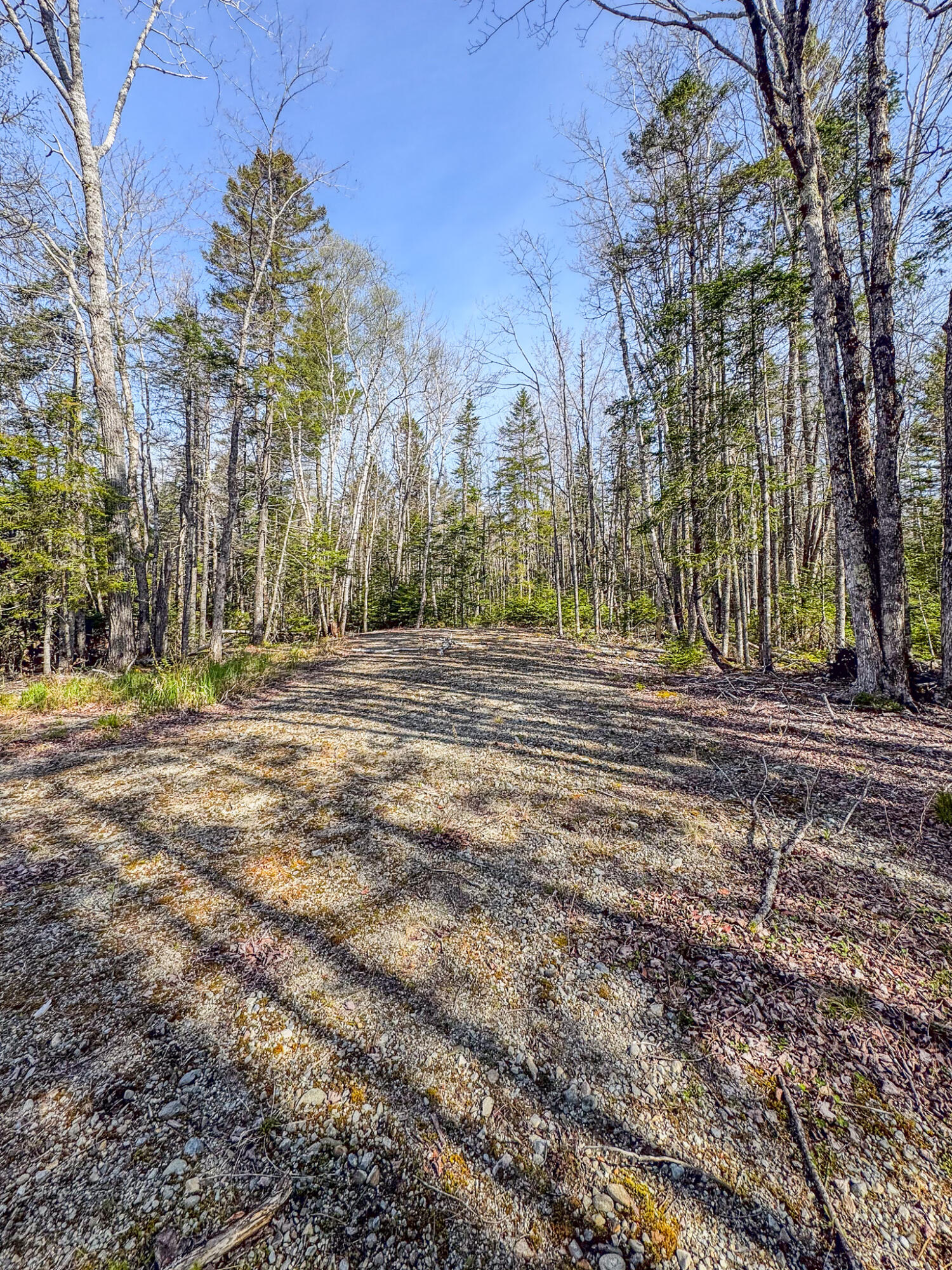 Map 12 Lot 36-2 Addison ME 04606