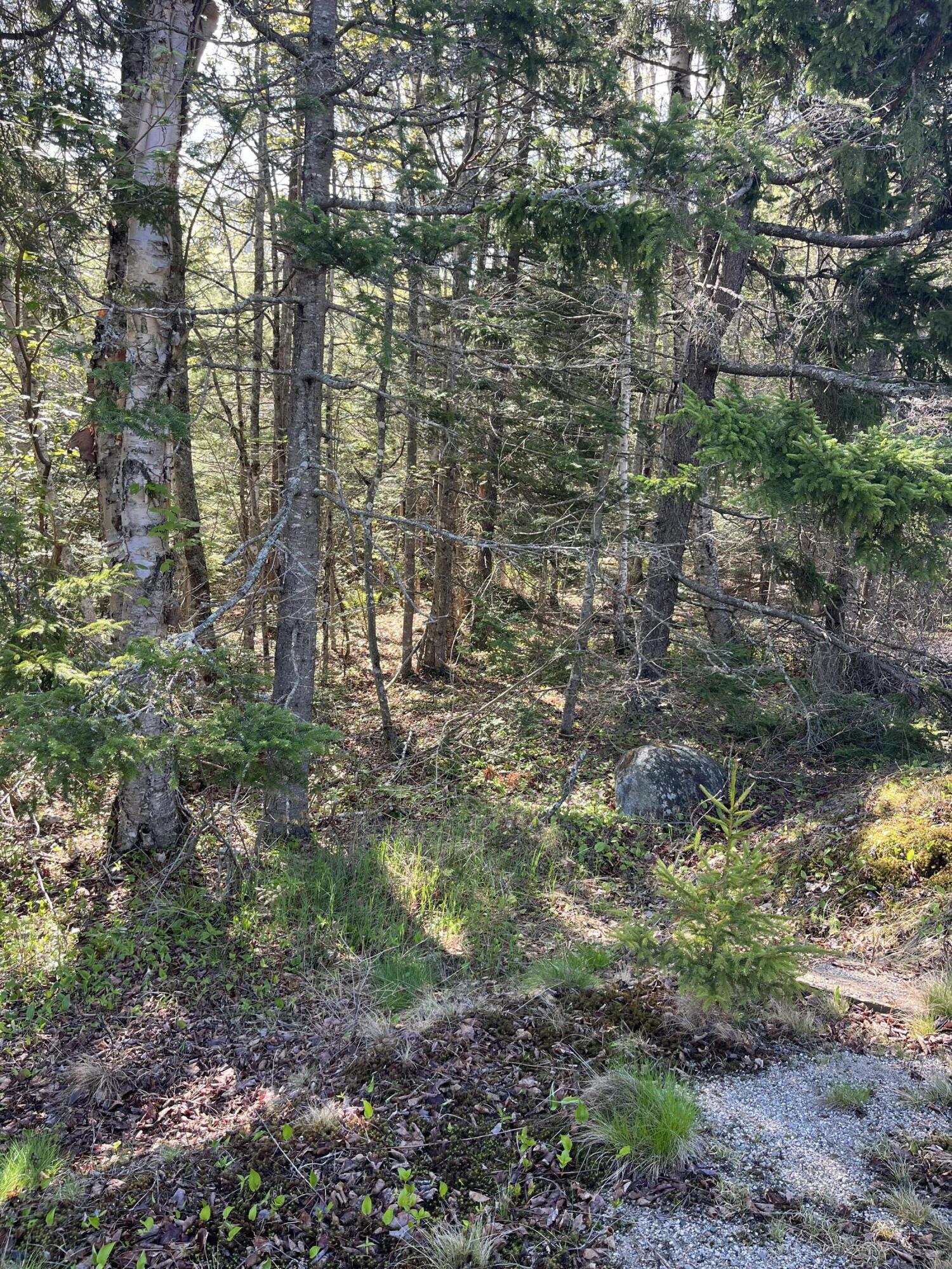 Lot 14 West Bay Road Gouldsboro ME 04607