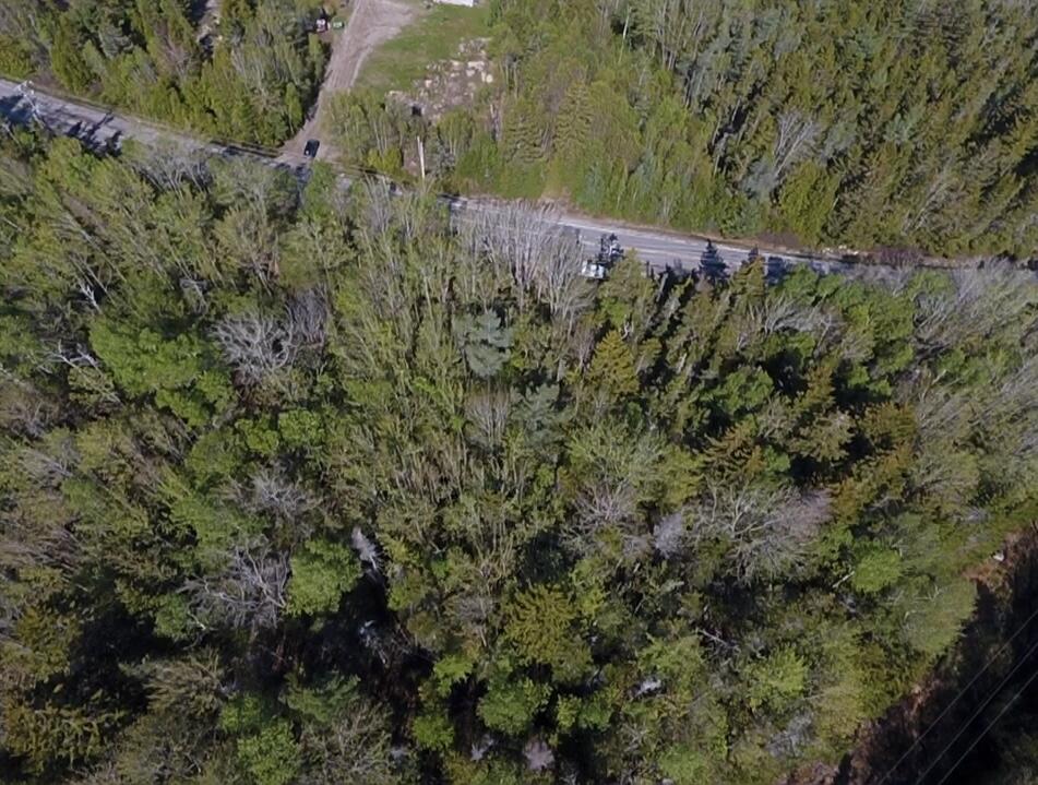 Lot 14 West Bay Road Gouldsboro ME 04607