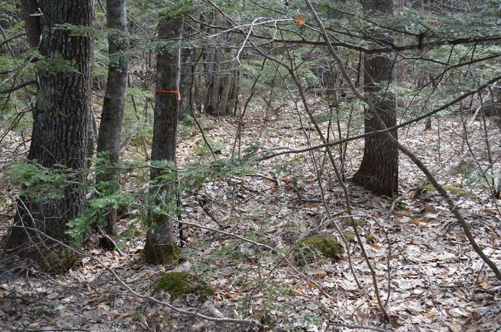Lot 20 Basin Road Fayette ME 04349