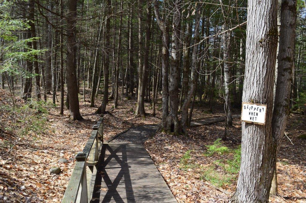Lot 20 Basin Road Fayette ME 04349