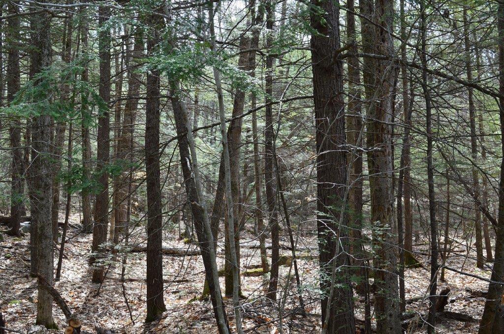 Lot 20 Basin Road Fayette ME 04349