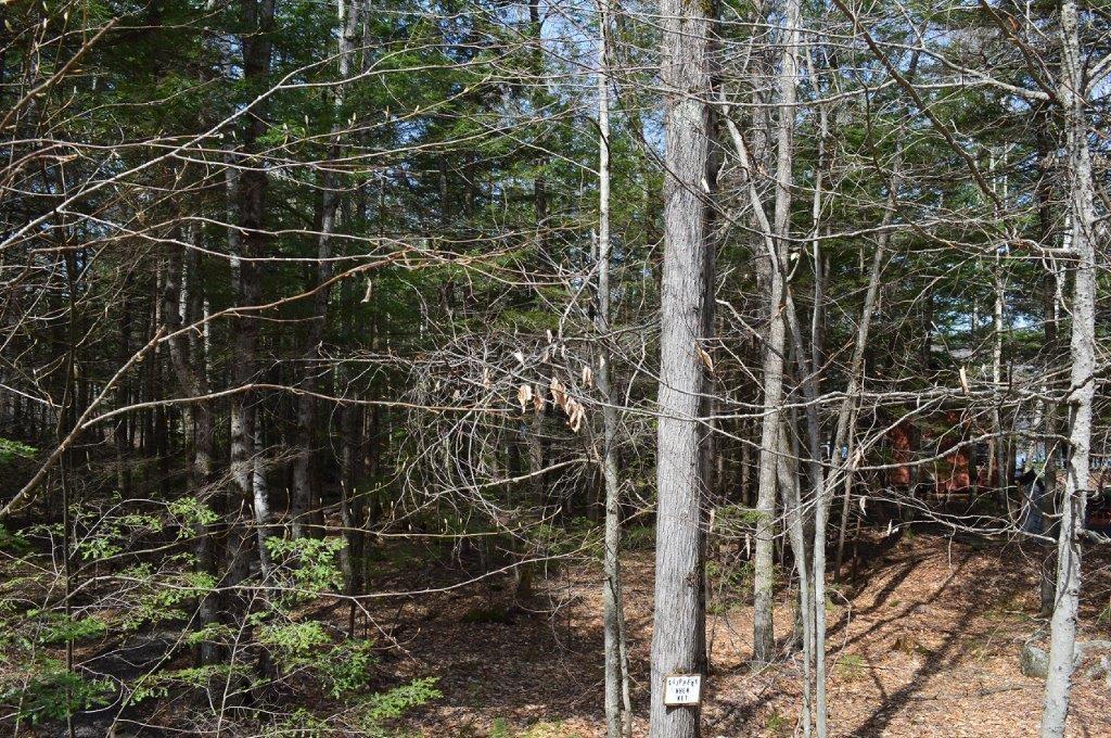 Lot 20 Basin Road Fayette ME 04349