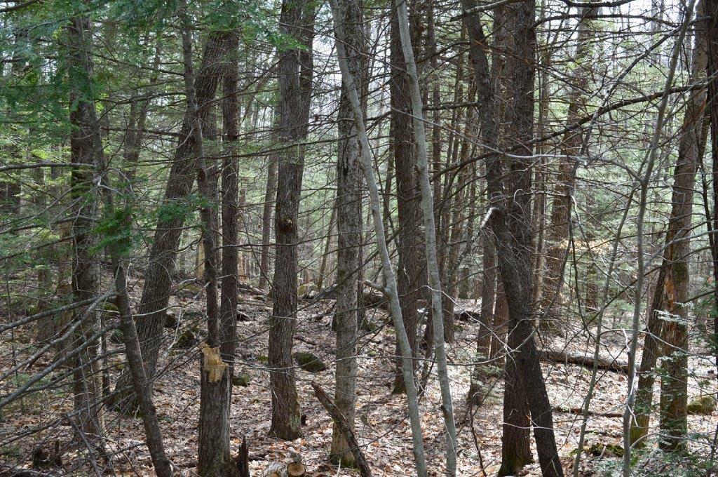 Lot 20 Basin Road Fayette ME 04349