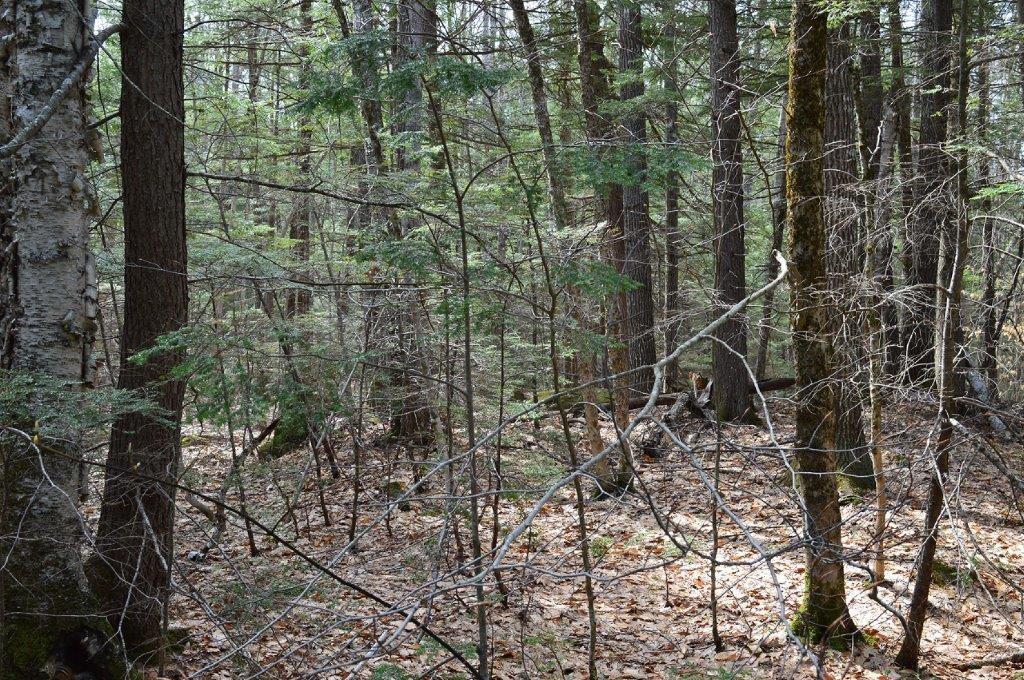 Lot 20 Basin Road Fayette ME 04349