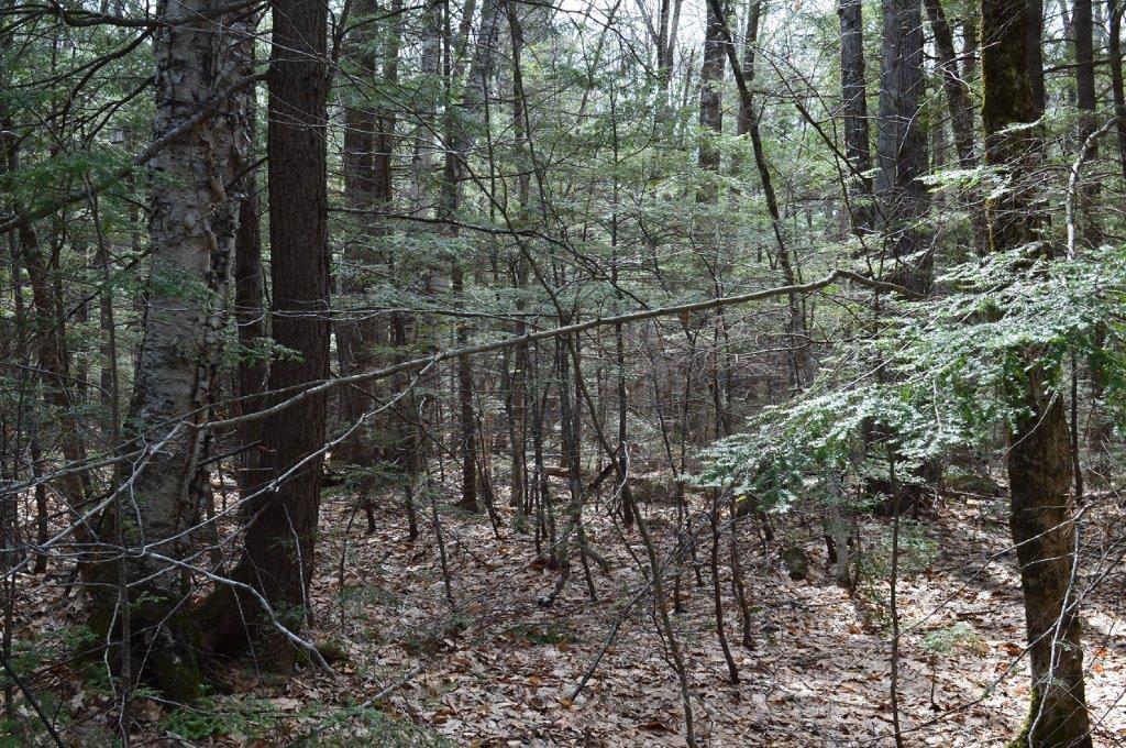 Lot 20 Basin Road Fayette ME 04349