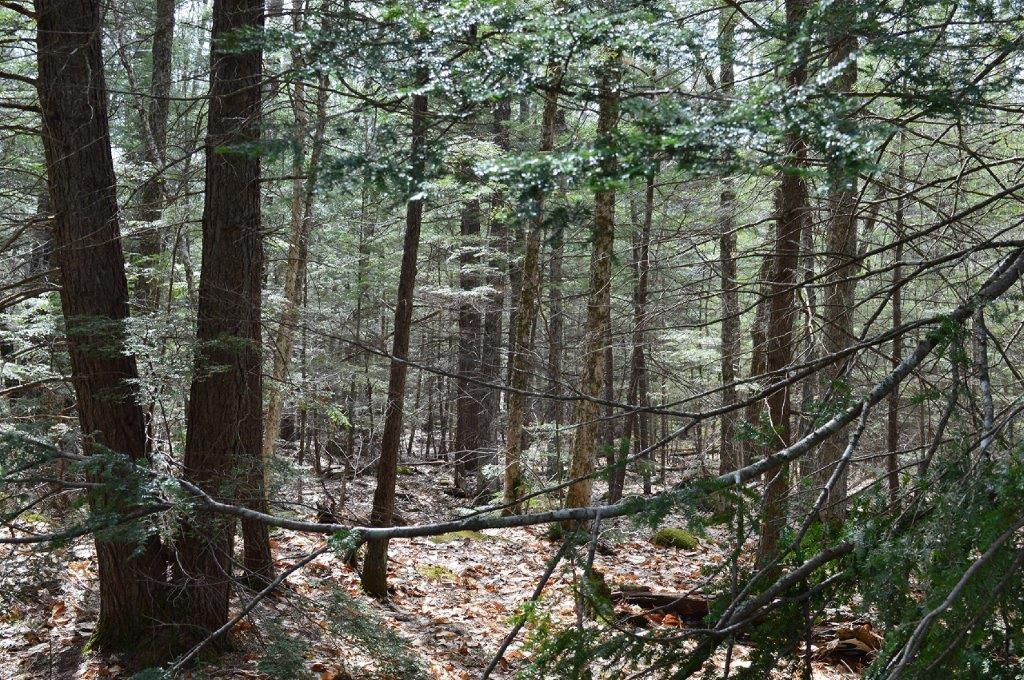 Lot 20 Basin Road Fayette ME 04349