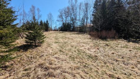 2 Janney Street Eastport ME 04631