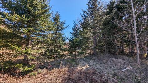 2 Janney Street Eastport ME 04631