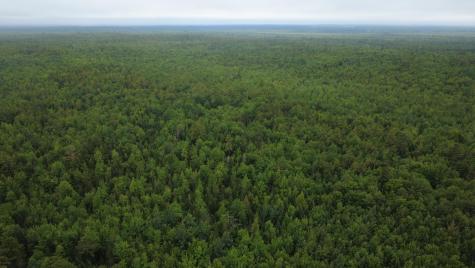 Lot 27.3 Southgate Road Argyle Twp ME 04468