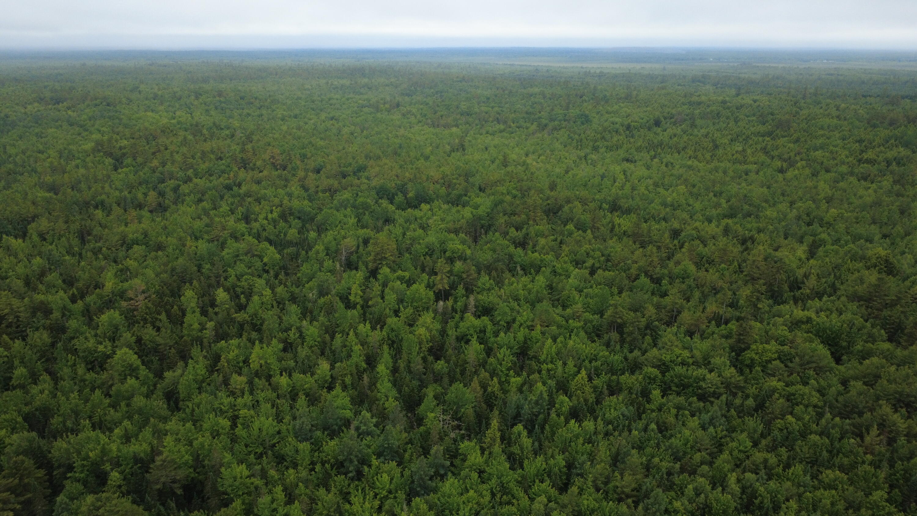Lot 27.3 Southgate Road Argyle Twp ME 04468