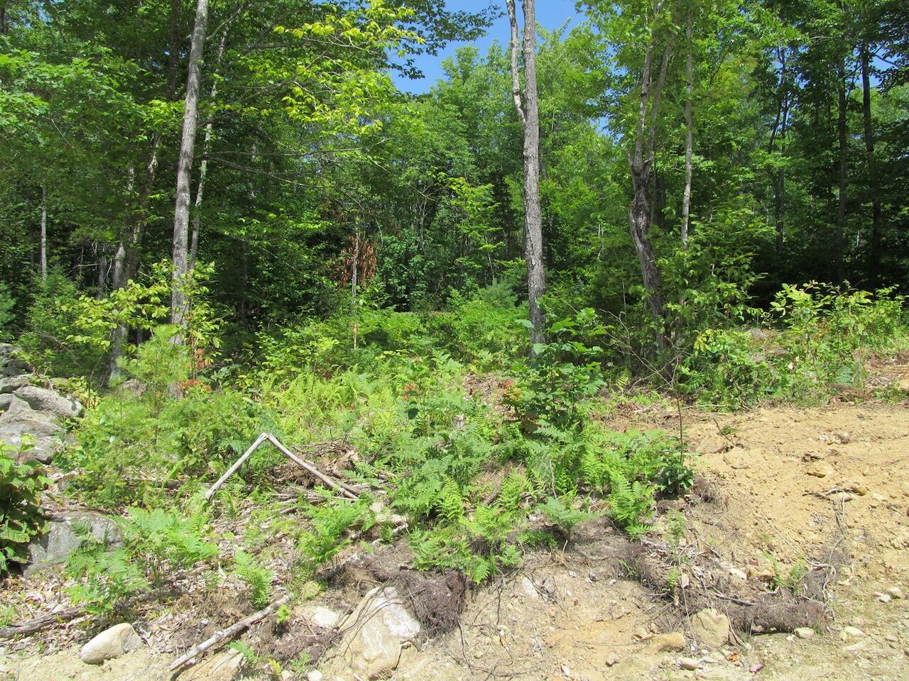 37-2 Brown Neighborhood Road Weld ME 04285