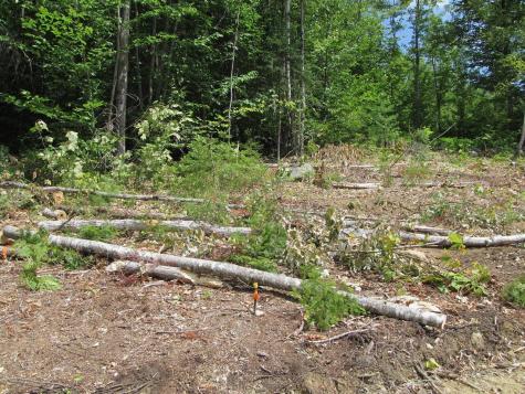 37-2 Brown Neighborhood Road Weld ME 04285