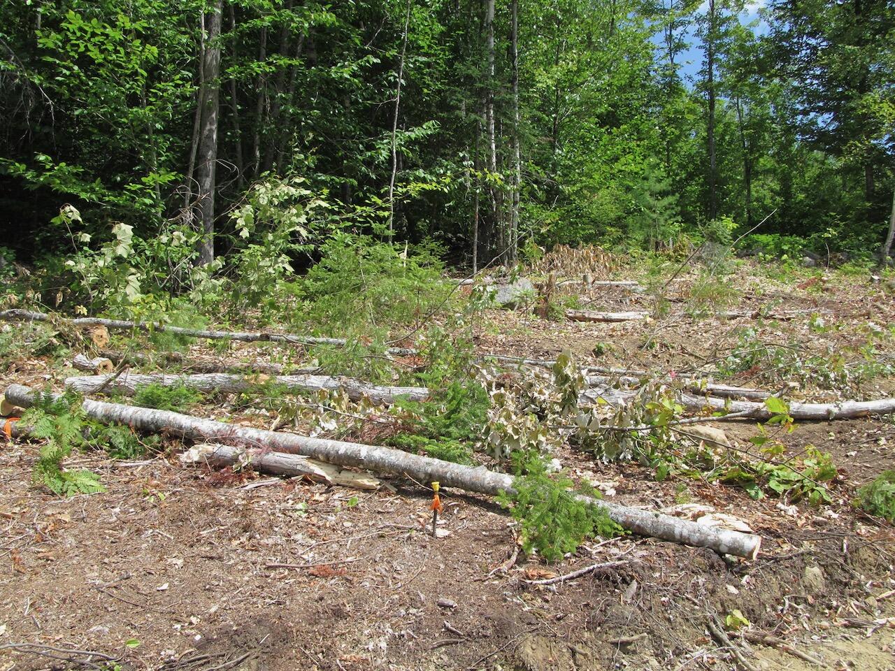 37-2 Brown Neighborhood Road Weld ME 04285