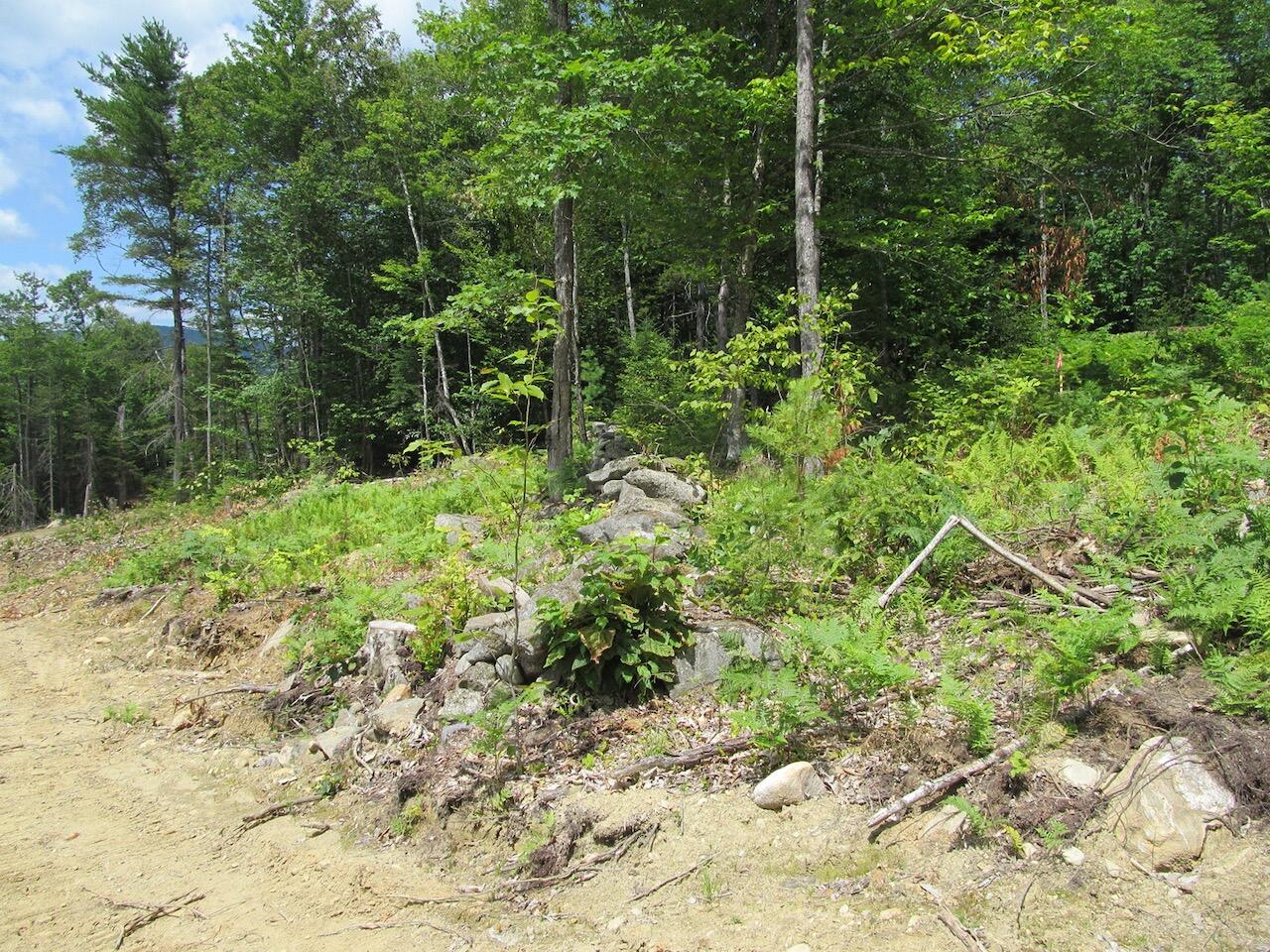 37-2 Brown Neighborhood Road Weld ME 04285