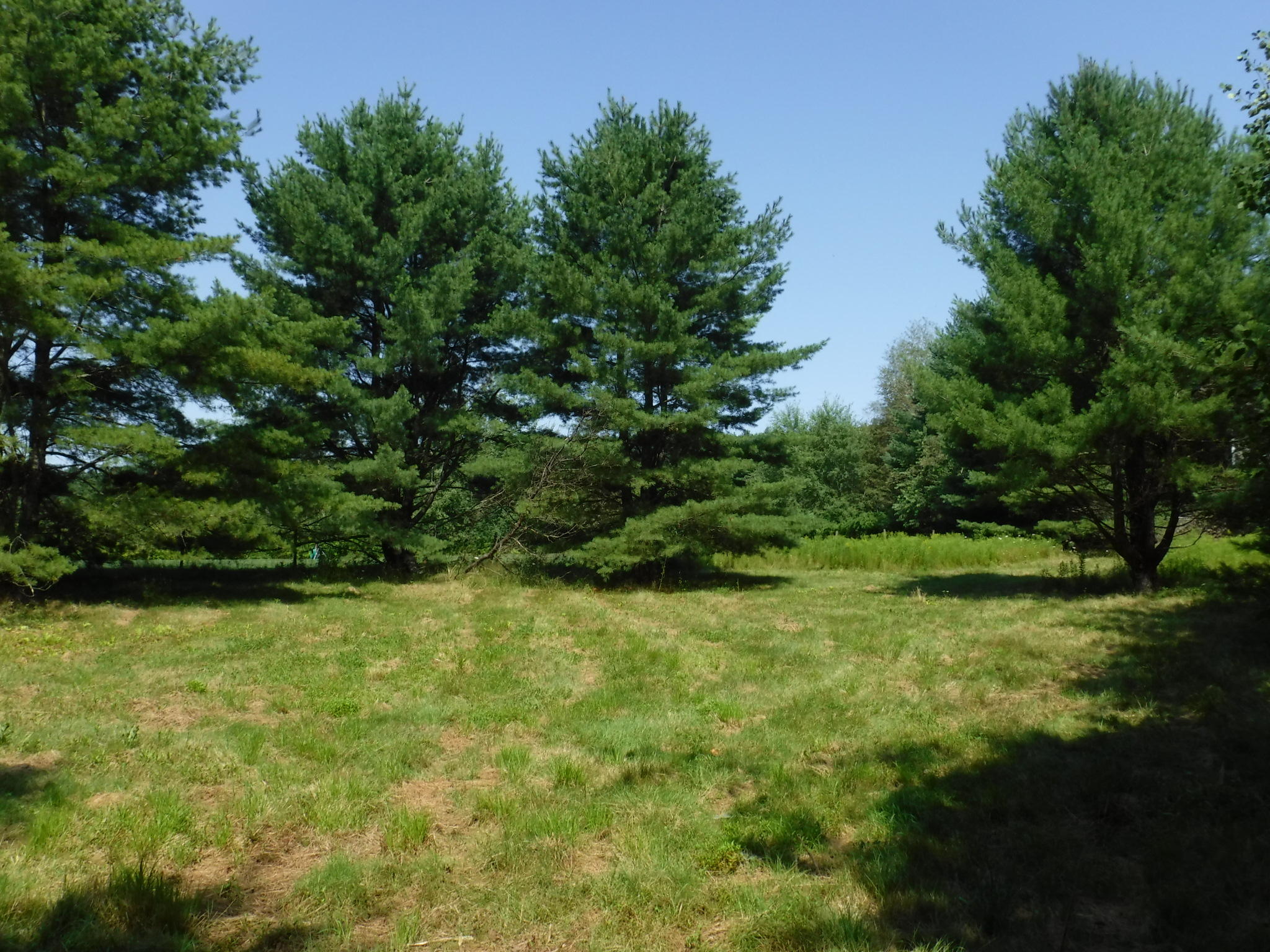 3 Triple G Farm York ME 03909
