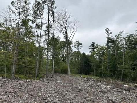Lot 00 Maplewood Road Parsonsfield ME 04047