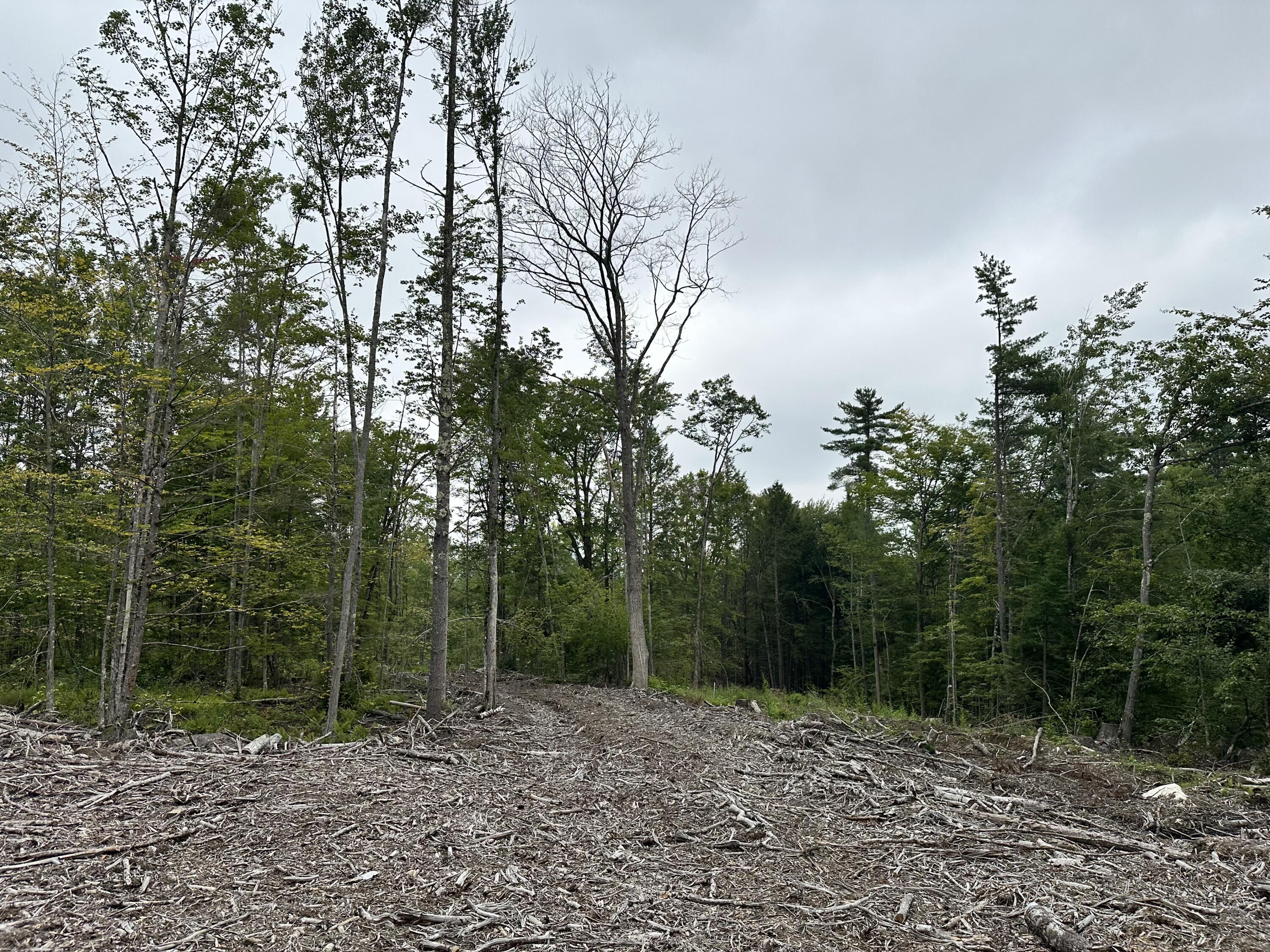 Lot 00 Maplewood Road Parsonsfield ME 04047