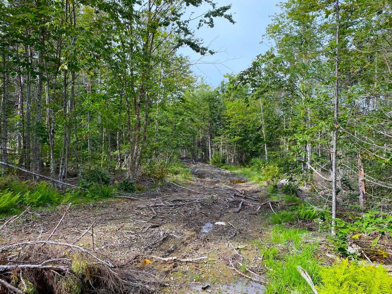 LOT128C Love Lake Road Crawford ME 04694