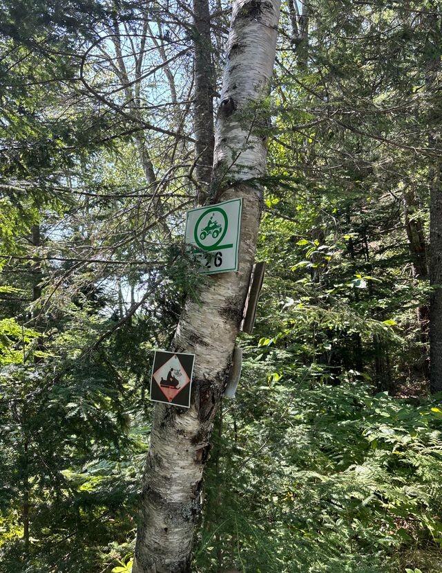 LOT128C Love Lake Road Crawford ME 04694