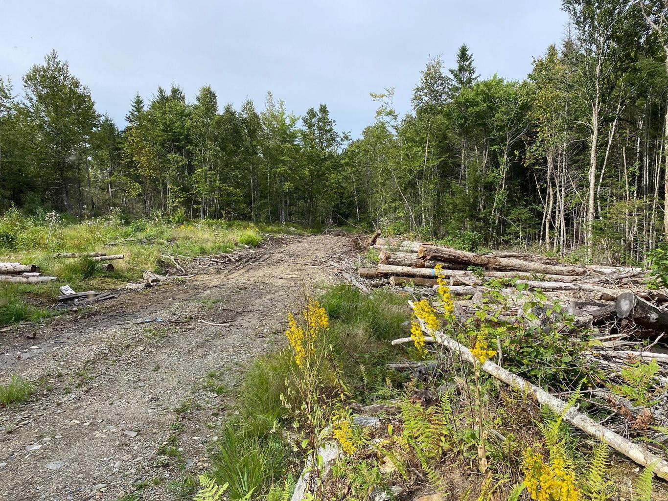 LOT128C Love Lake Road Crawford ME 04694