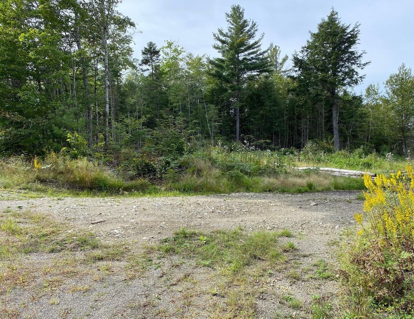 LOT128C Love Lake Road Crawford ME 04694