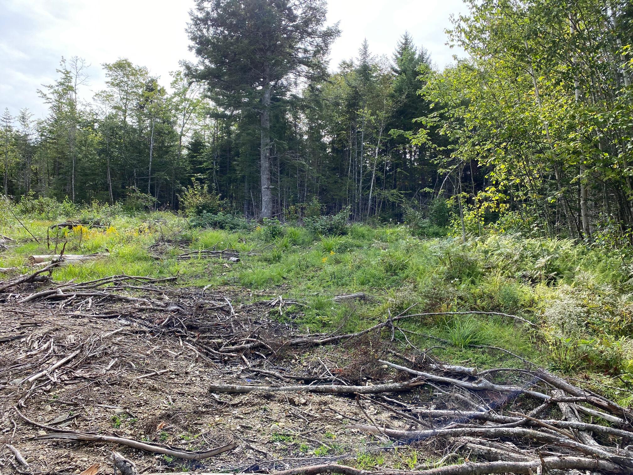 LOT128C Love Lake Road Crawford ME 04694