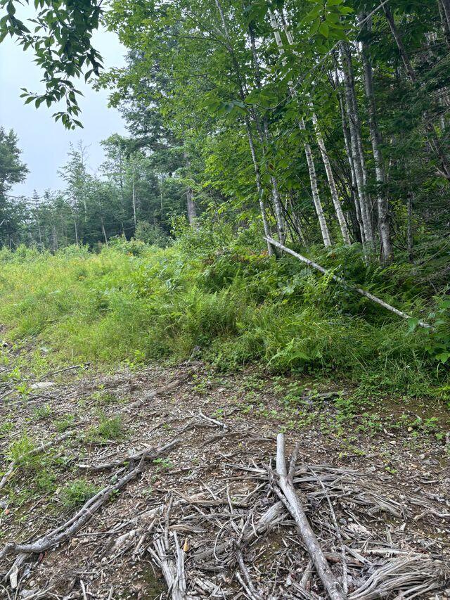 LOT128C Love Lake Road Crawford ME 04694