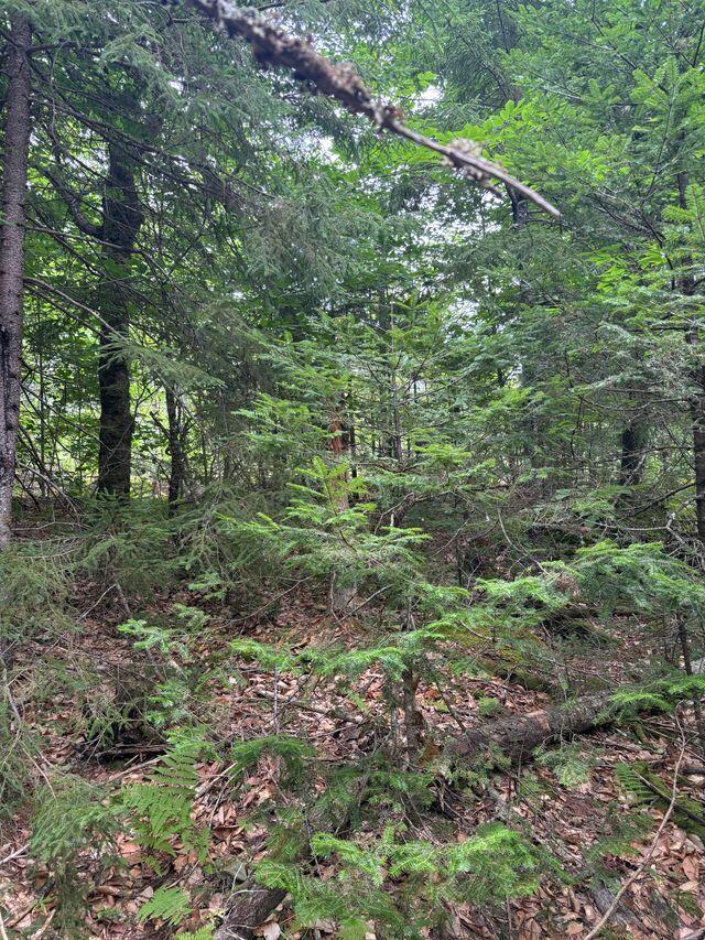 LOT128C Love Lake Road Crawford ME 04694