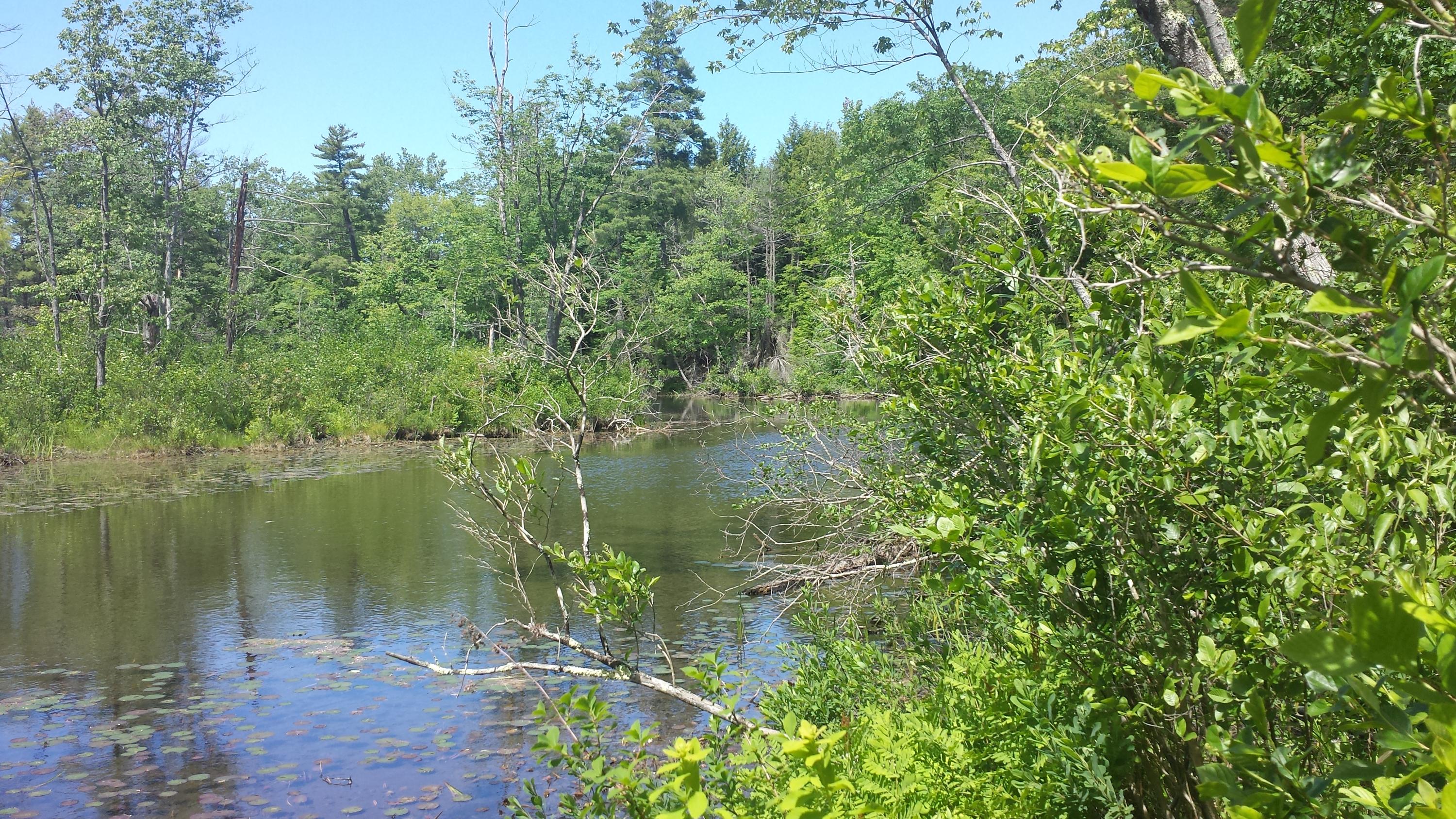 594 River Road Windham, ME