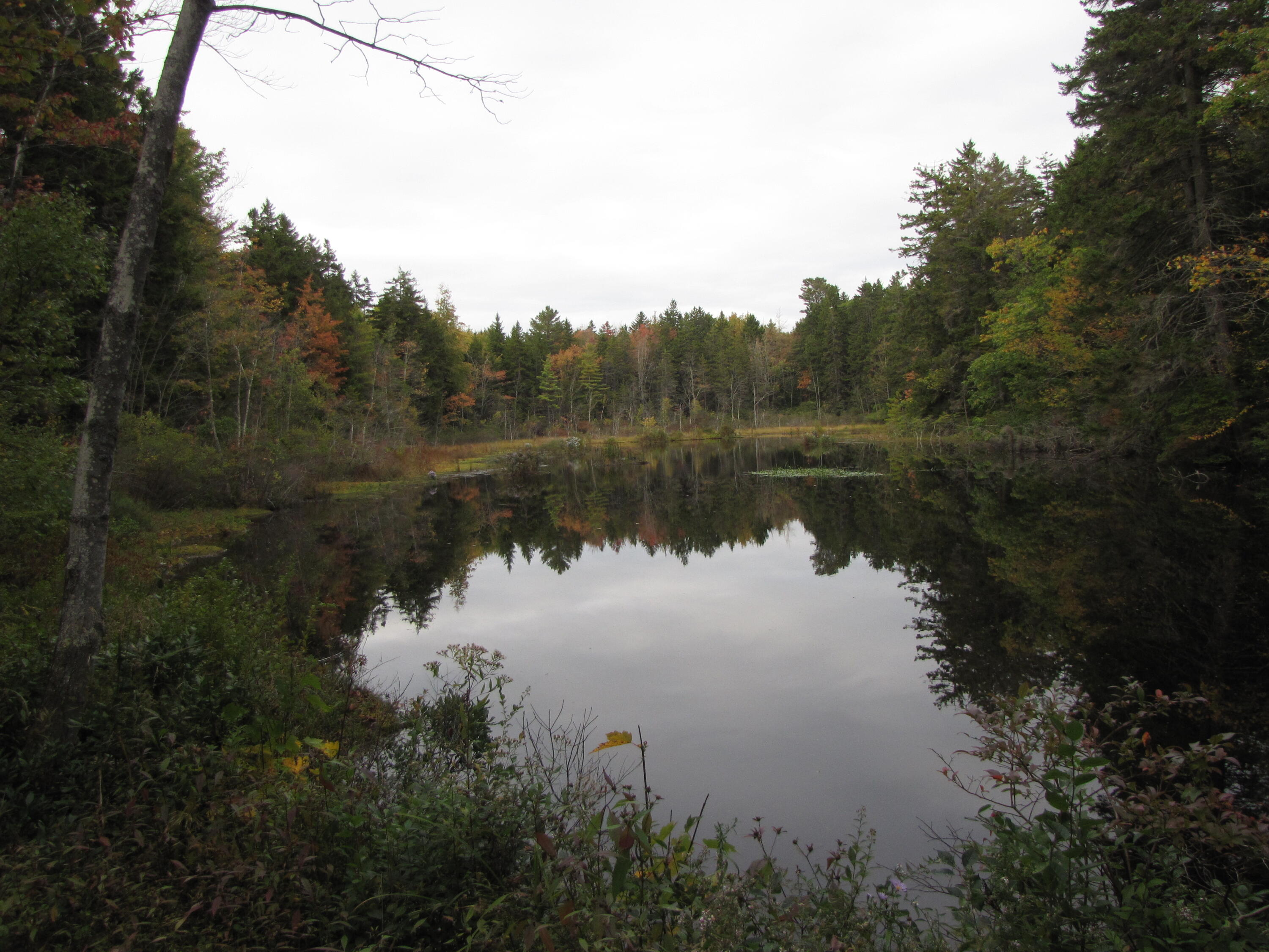 1 Mallard Pond Road Harpswell ME 04079