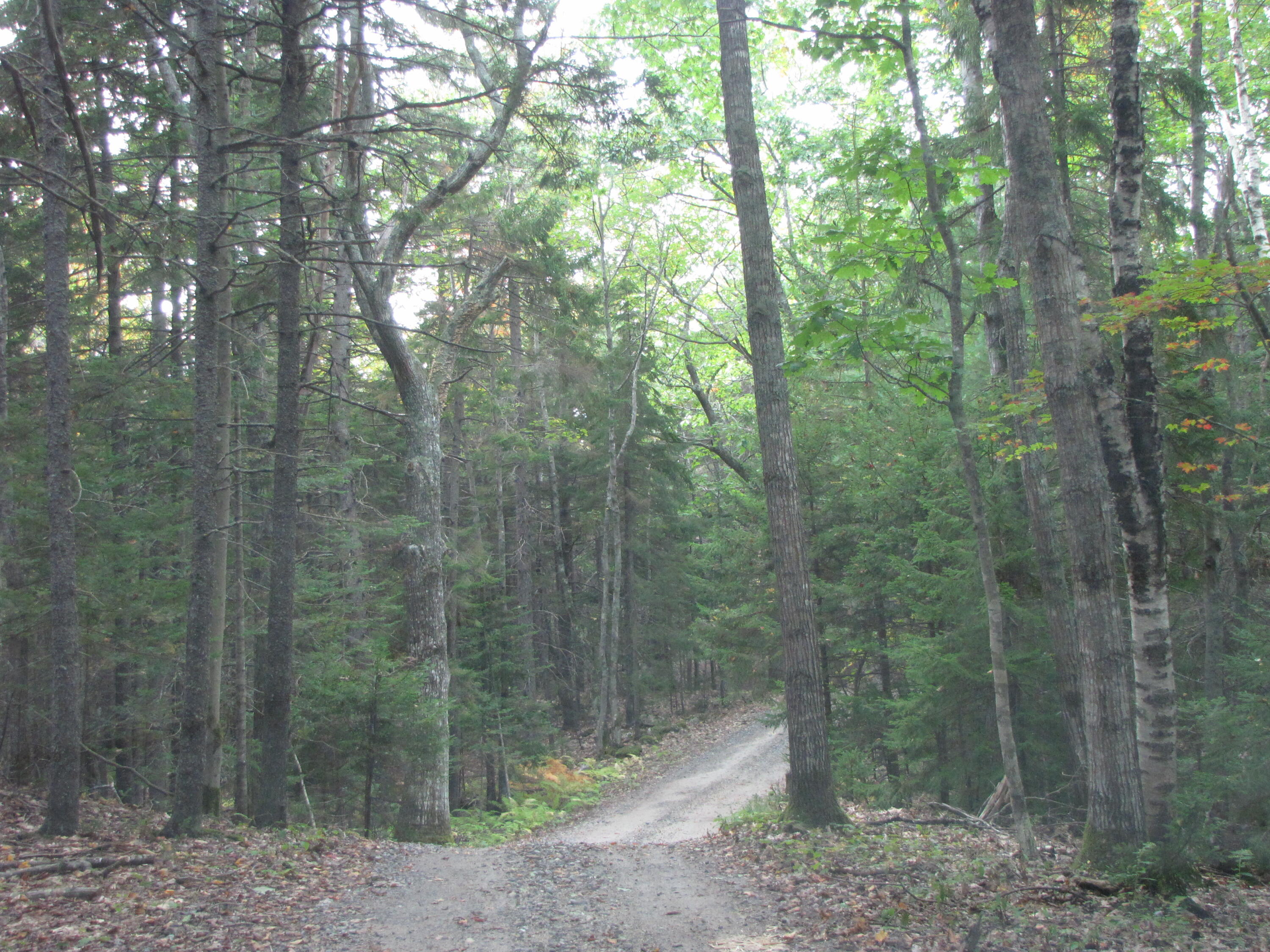 1 Mallard Pond Road Harpswell ME 04079