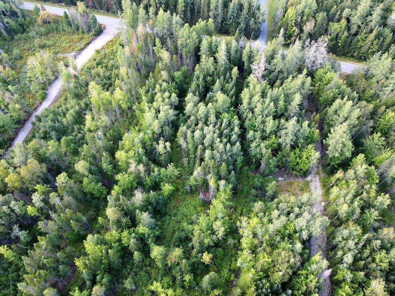 L37&72 Beaulieu Road Connor Twp ME 04736