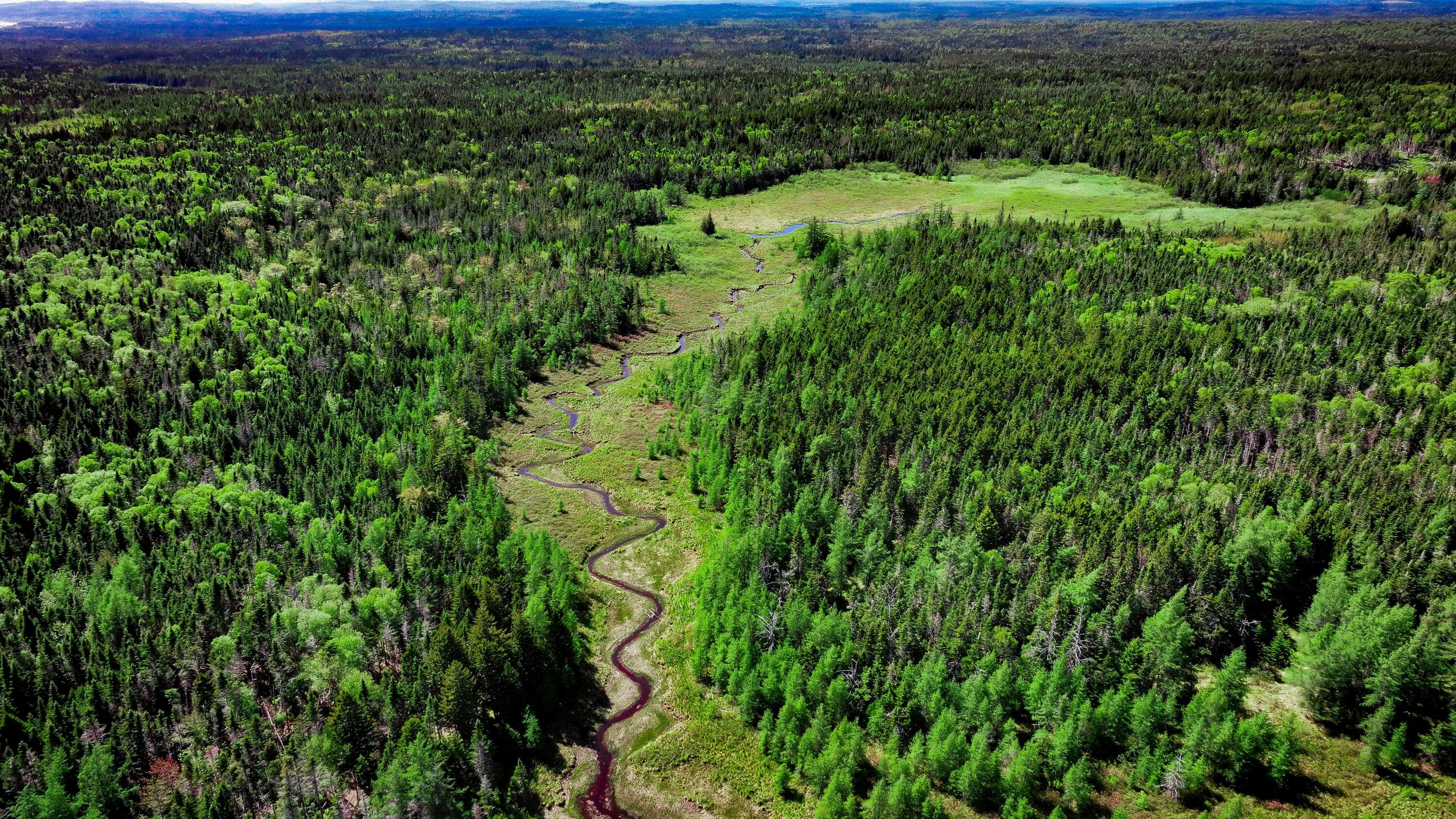 Cutler ME, 1728 Cutler Road