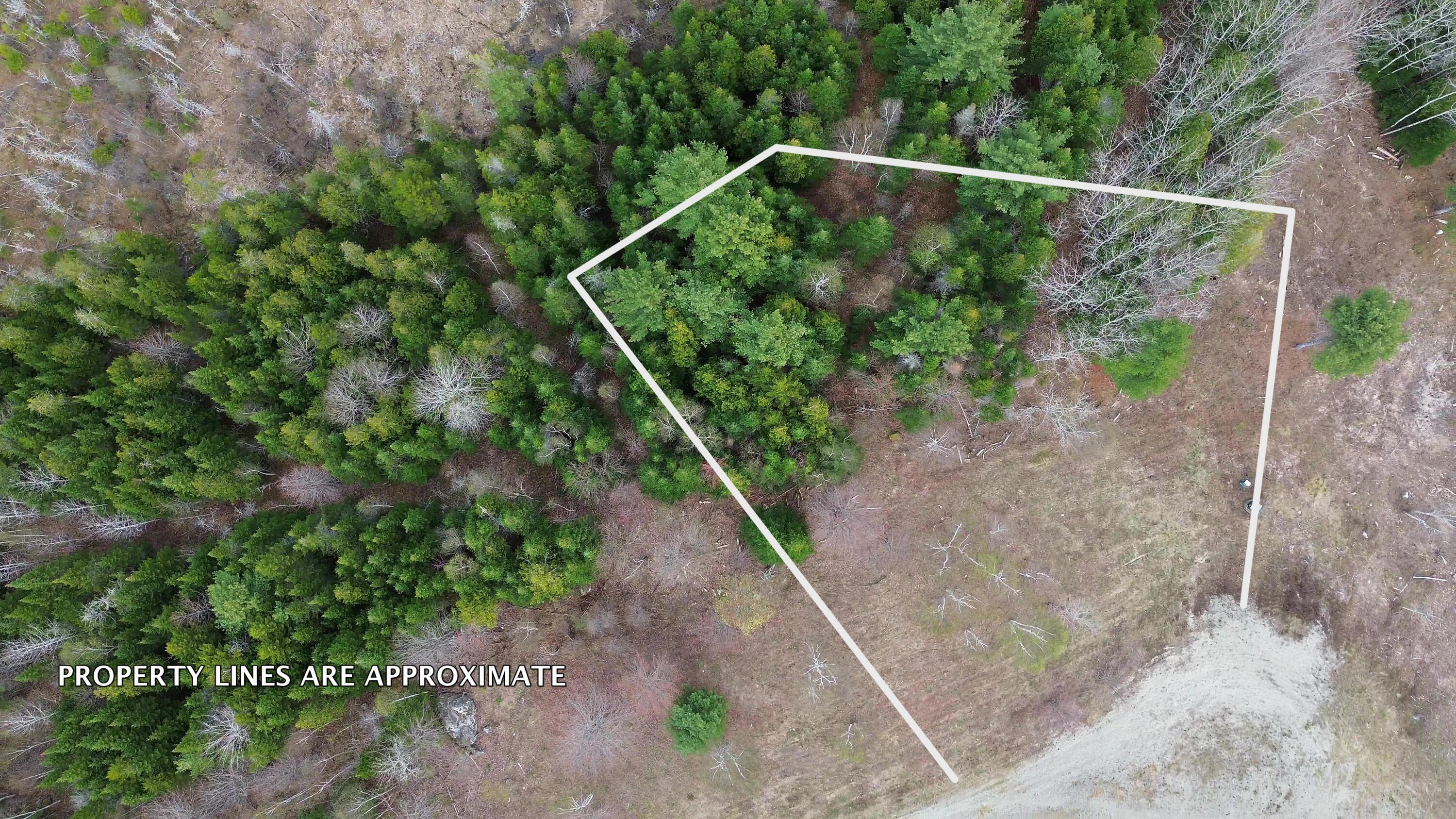 Lot 18 Bailey Mountain Road Franklin ME 04634
