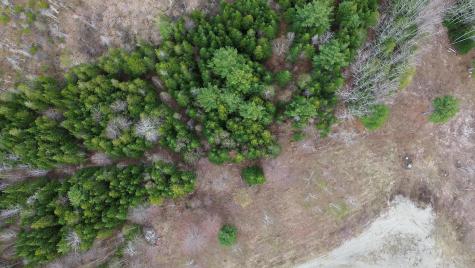 Lot 18 Bailey Mountain Road Franklin ME 04634