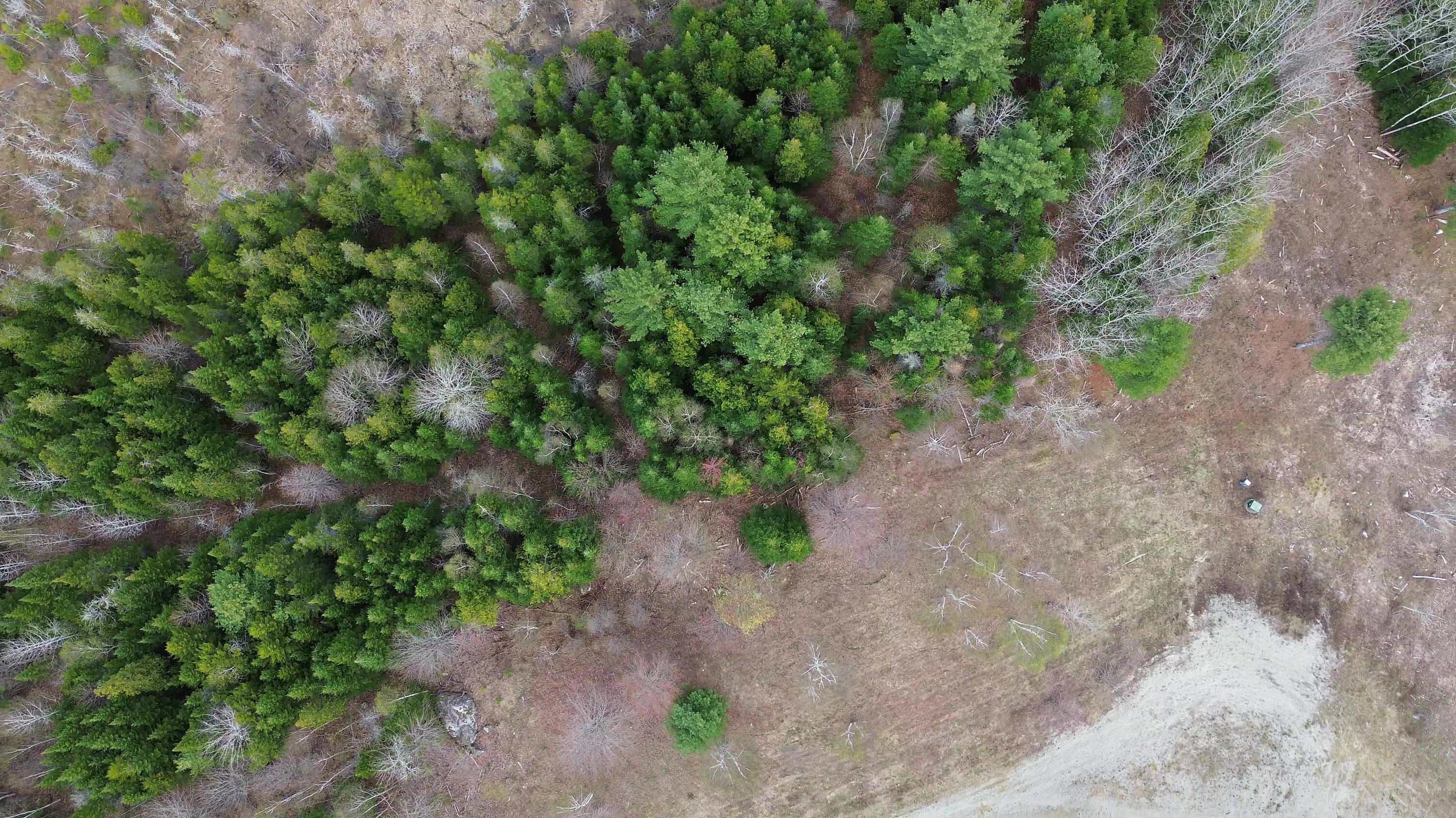 Lot 18 Bailey Mountain Road Franklin ME 04634