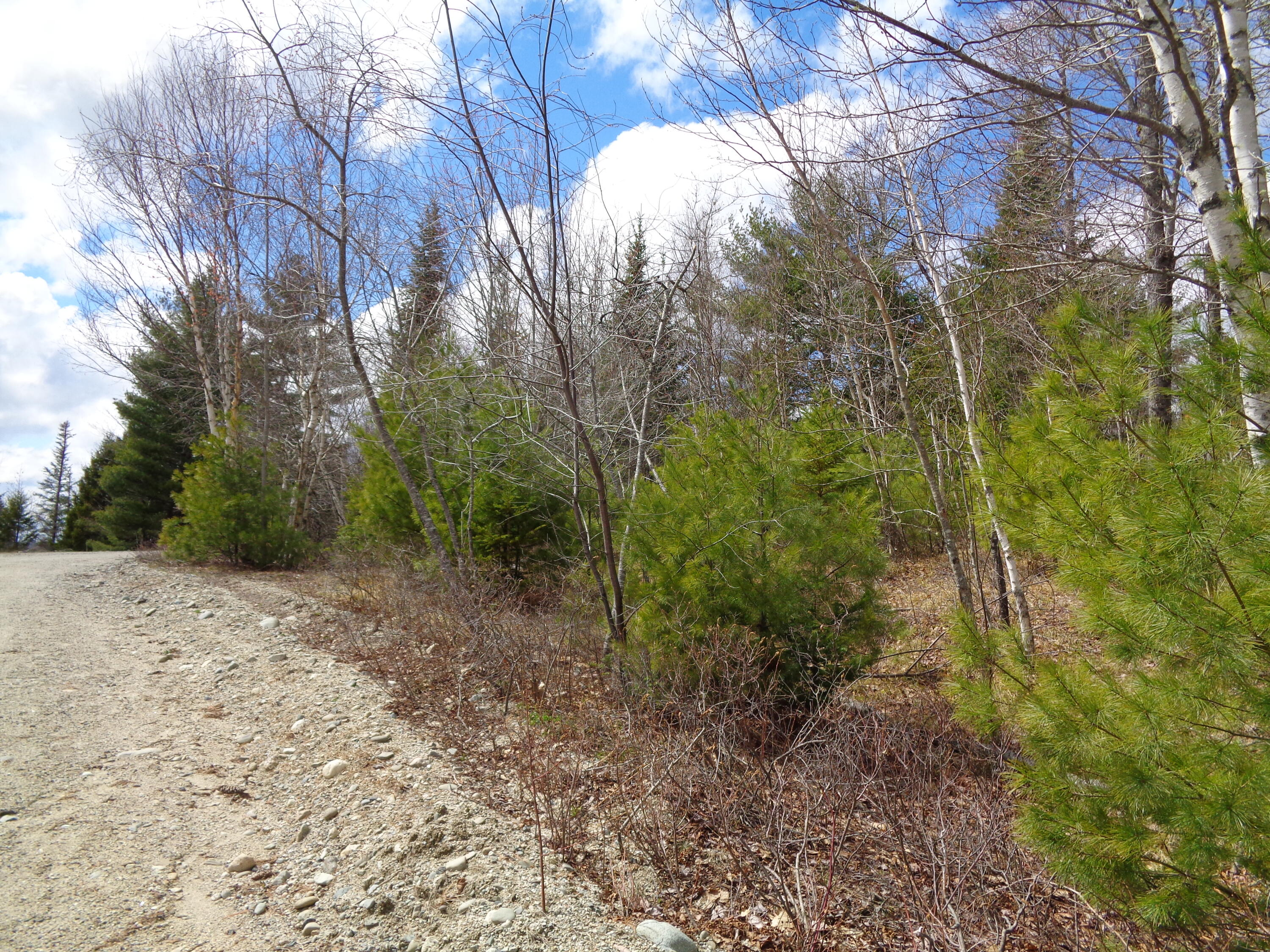 Lot 18 Bailey Mountain Road Franklin ME 04634