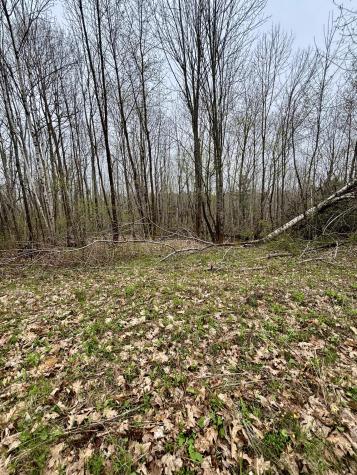 140 Gray Meadow Road Orland ME 04472