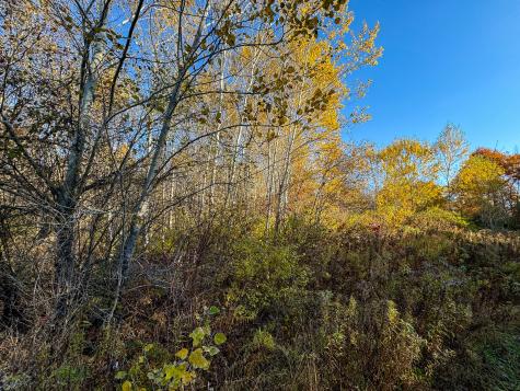 M3l24 & 26 Route 2 Passadumkeag ME 04475