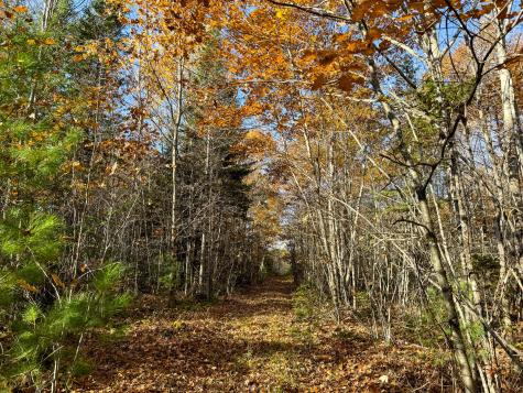 M3l24 & 26 Route 2 Passadumkeag ME 04475